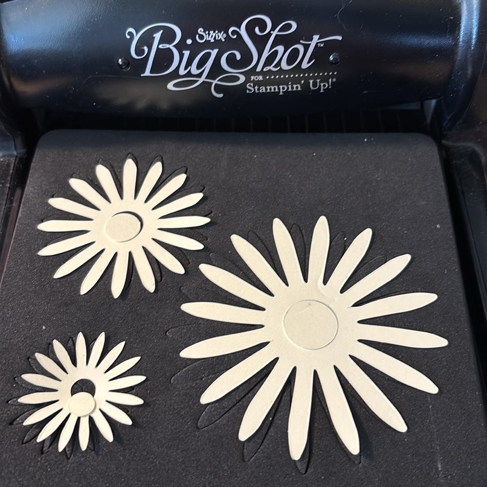 Sizzix Flower Daisies #2 Die in Black